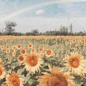 Meet your Posher, Karly